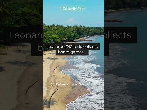 Fanousboard