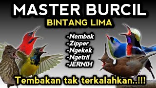 Download lagu Edan banget !! MASTERAN BURCIL FULL ISIAN TEMBAKAN PALING BAR-BAR ‼️ mp3 Download lagu Edan banget !! MASTERAN BURCIL FULL ISIAN TEMBAKAN PALING BAR-BAR ‼️ mp3