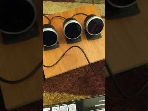 Defi Advance BF Gauge Demo