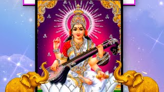 Shree Maatha International Public School Video