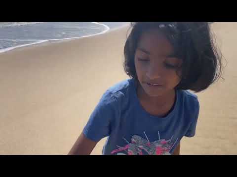 Biddu’s Beach Fun Activities