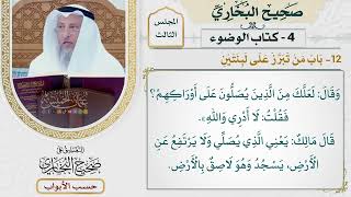 107- باب من تبرز على لبنتين - صحيح البخاري - عثمان الخميس