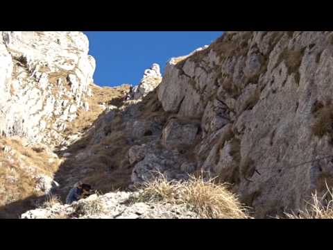 Monte Amariana - 31 dic. 2016