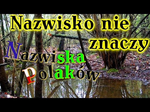 Nazwisko nie znaczy