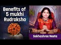 5 mukhi Rudraksha For Students | Enhance your Intellect & Immunity | Panchmukhi Rudraksha