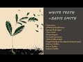 White Teeth By Zadie Smith Summary Analysis