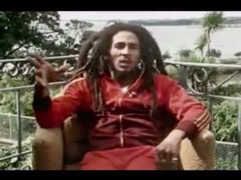 What Is A Dread Bob