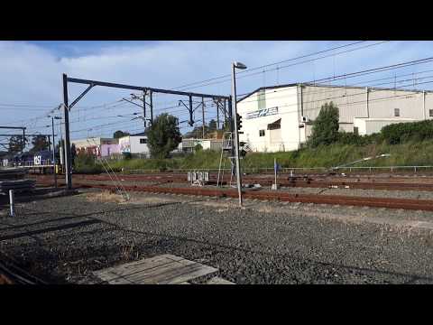 Four 82's and 8175 lead PN 4124 - 31/1/19