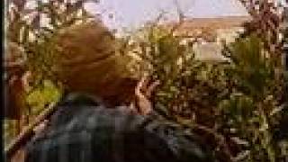 Unnatural World - SDSU Film