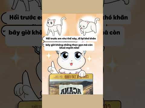 Mèo béo khó ở gặp thành viên mới và cái kết | Tạp hóa meomeo #animation #hoathinhtrungquoc