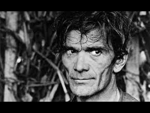 Postcolonial Cinema: Pasolini's La Rabbia and Agnes Varda's The Black Panthers