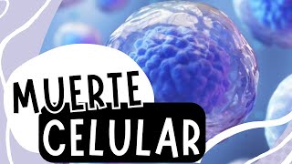 💀Muerte Celular: Apoptosis, Necrosis y Autofagia | En menos de 5 minutos⏱️