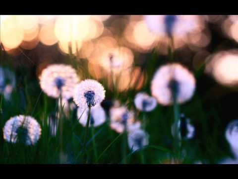 Glittering Puzzle - By All Means (Lessov Remix)