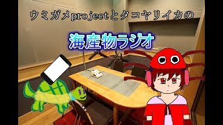 【バーチャルユーチューバー】ウミガメprojectとタコヤリイカの海産物ラジオ #001【ラジオ】