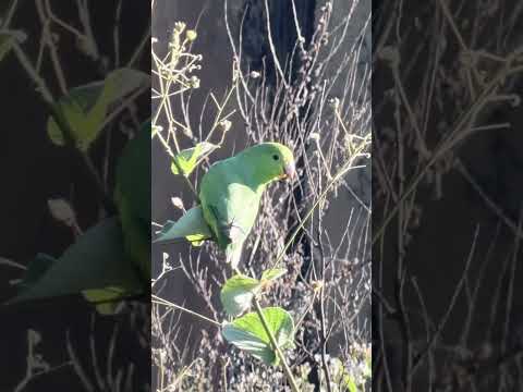 #nature #baraodecocais #minasgerais