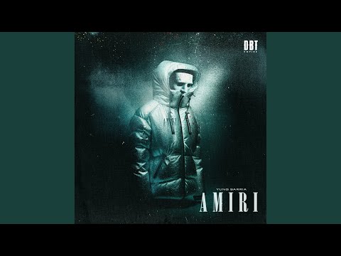 Miniatura de Amiri