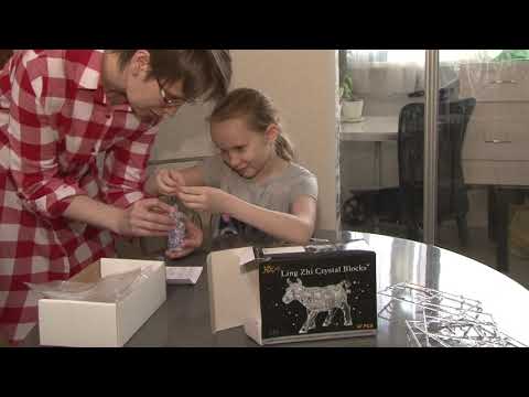 3D ПАЗЛЫ Сборка кристального пазла Бык crystal blocks