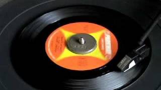 CHUBBY CHECKER - KARATE MONKEY.wmv