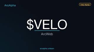 VELO — Scanner Alpha