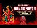 Who Is Bhuvaneshwari Cosmic Queen Of The Mahavidyas Explained Bhuvaneshwari Shakti