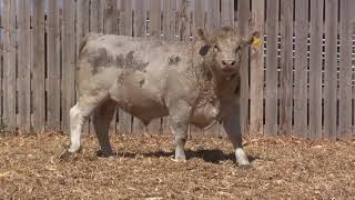 p007f explicação detalhada