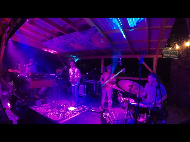 Free Bird Video