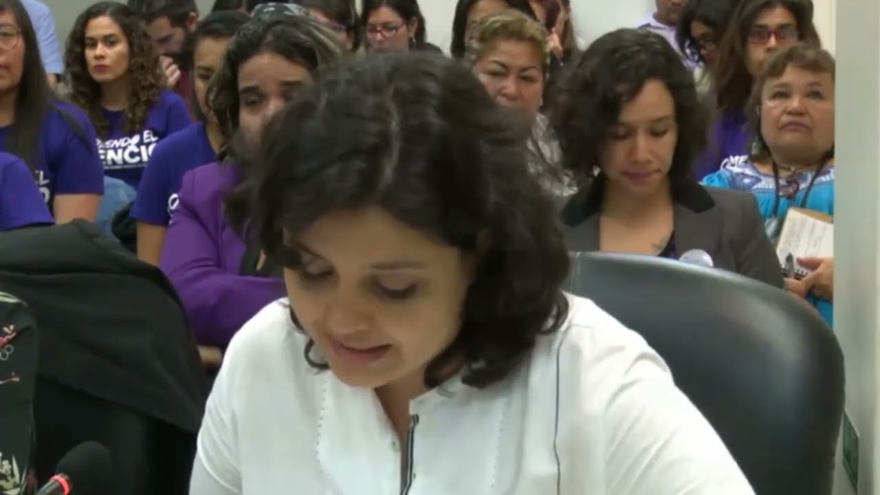 Audiencia Pública Caso Selvas Gómez y otras Vs. México Parte 4. 2017