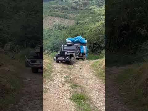los jeeps cargados de café en el municipio de Teruel Huila #campo #café