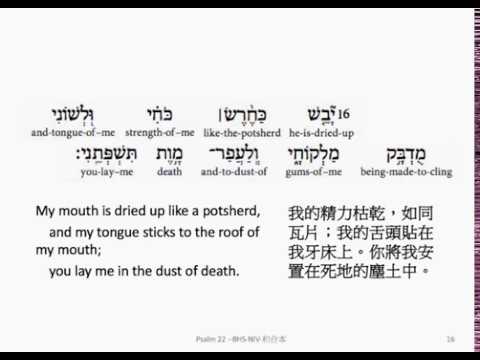 Psalm 22: Hebrew interlinear audio Bible 希伯來文聖經:詩篇第二十二篇