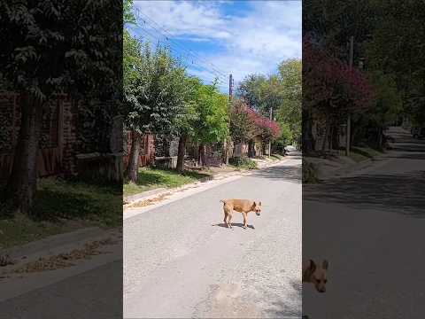 Valle Hermoso, Punilla, Córdoba, Argentina.#vallehermoso