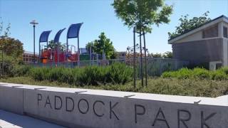 Paddock Park