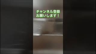 [料理] 料理作った事ないやつがピーマンの肉詰めを作ってみた結果…w #shorts