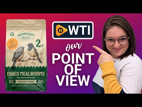 Hatortempt 2 lb Dried Mealworms for Wild Birds & Chickens- Premium Non-GMO Organic Feed- Nutritious High Protein Dried Meal Worms - WTI product video review