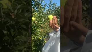 GRWM/Mt.Airy Orchard Trip ❤️