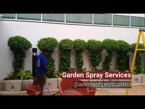 Commercial spray garden pest control service