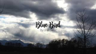 Chris Beck - Blue Bird (Artwork Version)