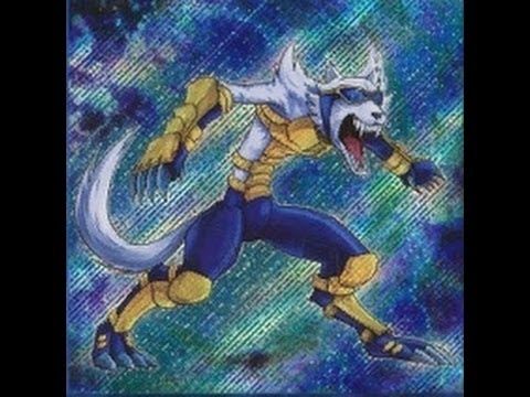 Competitive DN Duels : Fire Fist vs Geargia - The Return of 2013