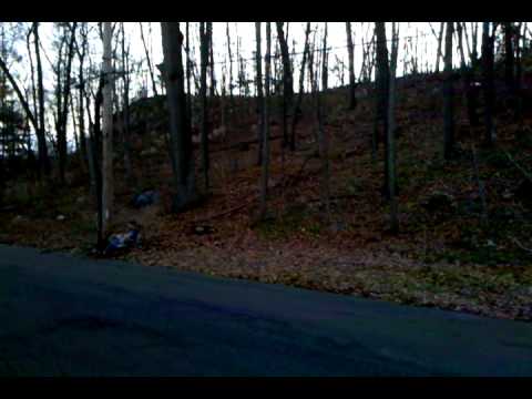 Jack leaf-sledding in Sewall Woods