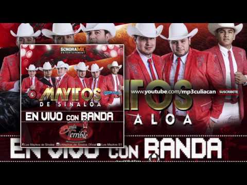 Los Mayitos De Sinaloa Ft. Banda Terrible - Yo Soy Joaqu1n (En Vivo 2016)