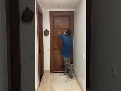 Flush Doors DS-154