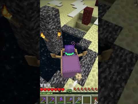 Reeze - Bringing a Shulker to the Overworld (Part 5)