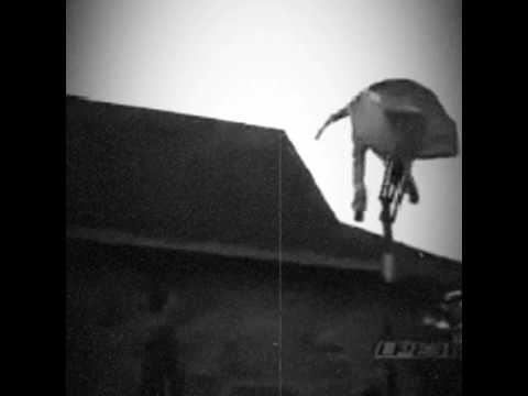 And this Year's 2017 Darwin Awards go to...