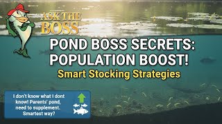 Download lagu Dari Mana Saya Harus Memulai? - Tanya Bos mp3