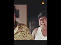 Goundamani Senthil Comedy Status Goundamani Comedy Dialogue Shorts Goundamani Comedy