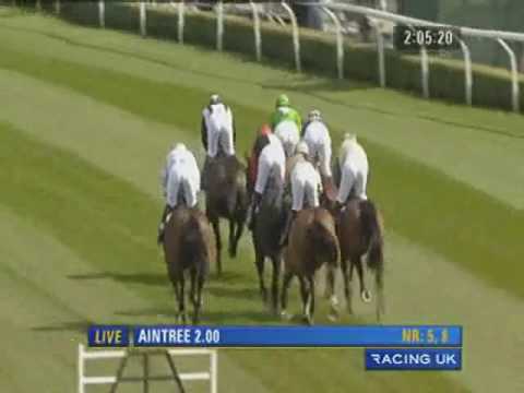 Grand National 2010 BGC Partners Liverpool Hurdle