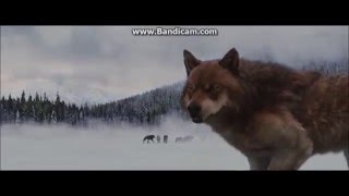 Twilight Wolves - Rise(Skillet)