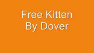 Dover free kitten