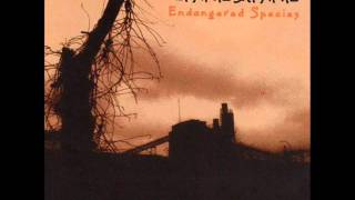 Lynyrd Skynyrd - Down South Jukin&#39;.wmv