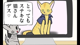 【漫画動画】ミーのおもちゃ箱 #240【ほのぼの猫の日常四コママンガ】 mqdefault - 【漫画動画】ミーのおもちゃ箱 #240【ほのぼの猫の日常四コママンガ】
