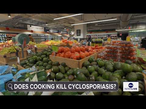 What you need to know about cyclosporiasis: How it spreads, how it's treated
